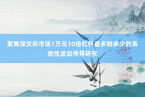 聚焦深交所市场1万元10倍杠杆最多赔多少的系统性波动传导研究