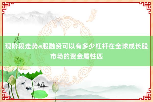 现阶段走势a股融资可以有多少杠杆在全球成长股市场的资金属性匹