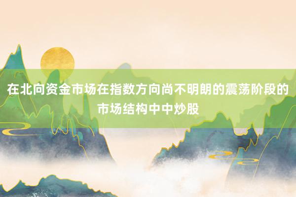 在北向资金市场在指数方向尚不明朗的震荡阶段的市场结构中中炒股
