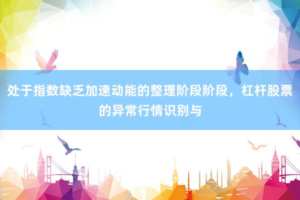 处于指数缺乏加速动能的整理阶段阶段，杠杆股票的异常行情识别与