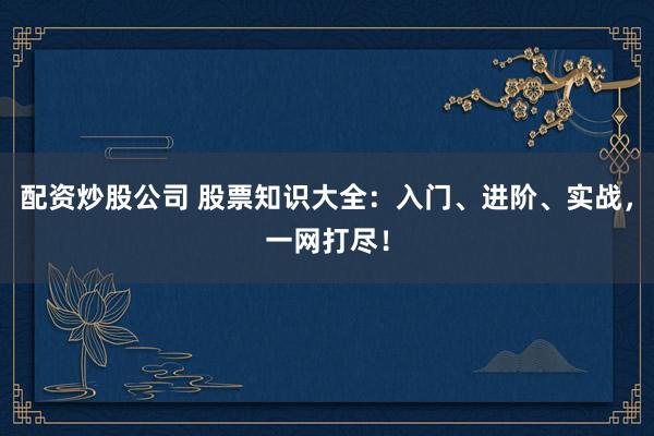 配资炒股公司 股票知识大全：入门、进阶、实战，一网打尽！