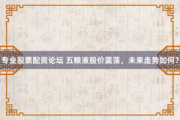 专业股票配资论坛 五粮液股价震荡，未来走势如何？