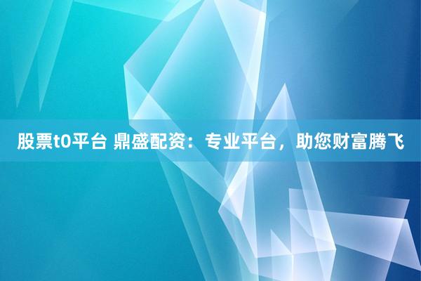 股票t0平台 鼎盛配资:专业平台,助您财富腾飞