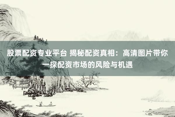 股票配资专业平台 揭秘配资真相：高清图片带你一探配资市场的风险与机遇