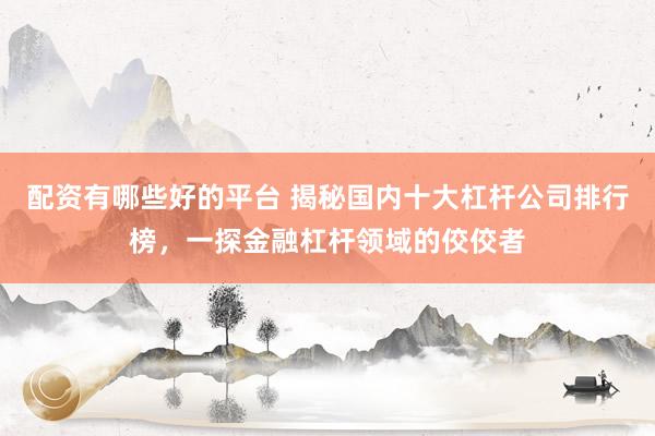 配资有哪些好的平台 揭秘国内十大杠杆公司排行榜，一探金融杠杆领域的佼佼者