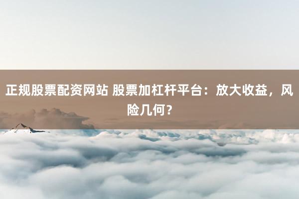 正规股票配资网站 股票加杠杆平台:放大收益,风险几何?